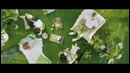 Pantone назвал главный цвет 2017 года