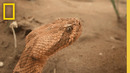 More Than a Grand Canyon | America’s National Parks | National Geographic