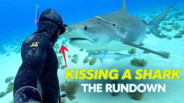 Free Diver Kisses Shark & More Underwater Adventures | The Rundown