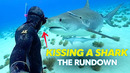 Free Diver Kisses Shark & More Underwater Adventures | The Rundown