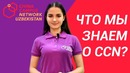 О CCN – Кто такие CCN – Как учиться в ТОП ВУЗах Китая (ГРАНТ)