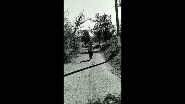 VID 5276519420812857657