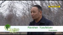 Mening bog`im | Гилос боғини барпо этган мутахассис Равшан Юсуфалиевдан маслахатлар [25.03.2020]