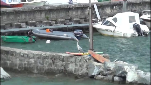 «Чайка». Фильм Фонда борьбы с коррупцией