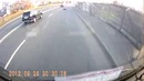 Самая удачливая собака в мире