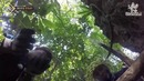 Law of the Jungle in Cook Islands – 3 ep. (295)
