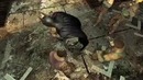 Batman: Arkham City. Интервью