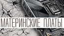 Материнская плата – нервная система компьютера. Из чего она состоит