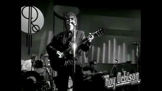 Roy Orbison – Blue Bayou (Black and White Night)