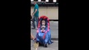 Попрошайка 90 уровня
