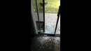 Собака очень торопилась на прогулку