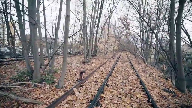Сталк с МШ. Заброшенная железная дорога в Берлине – SiemensBahn