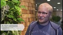 Любимые языки программирования в Яндексе