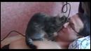 Как ты любишь папу