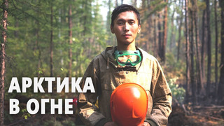 Из-за лесных пожаров на севере России в атмосферу стало попадать больше углерода