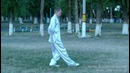 Передвижения в багуачжан