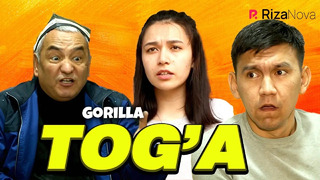 Gorilla – Tog’a