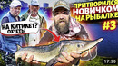Притворился НОВИЧКОМ на РЫБАЛКЕ 3 ЧАСТЬ! КОШАЧИЙ корм, МАРМЕЛАД червячки, РЫБАКИ В ШОКЕ )) КАК ТАК
