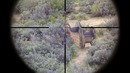 Better than a sniper
