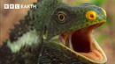 Earth’s Most Unique Island Life | BBC Earth