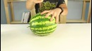 Удивительный фокус с арбузом Лайфхакер
