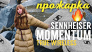 Прожарка Sennheiser Momentum True Wireless за 300