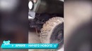 Лучшие приколы декабрь 2018 жена одобрила