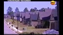 Снежный человек в горах Алтая – видео факты. Секретные территории. Тайны мира