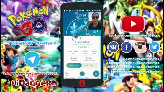 Pokemon GO – 500 яиц Магикарпа, время апа