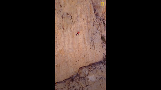 Watch elite climber Alex Honnold push the boundaries of possibility #shorts