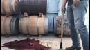 ПОТРАЧЕНО – Упорный сурок