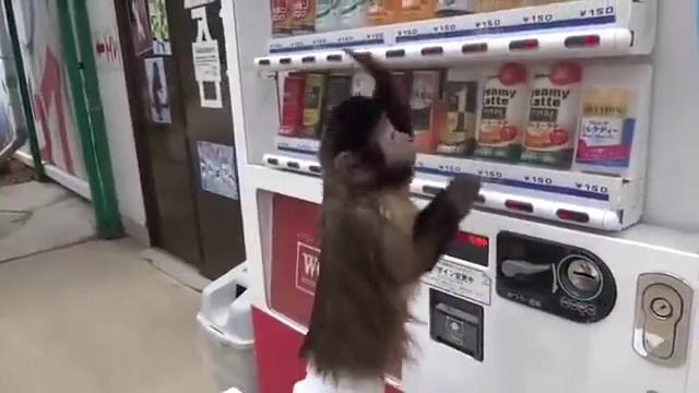 Мартышка покупает сок / Monkey buys juice