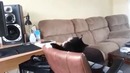 Кот, ты не видел мою валерьянку? Кот
