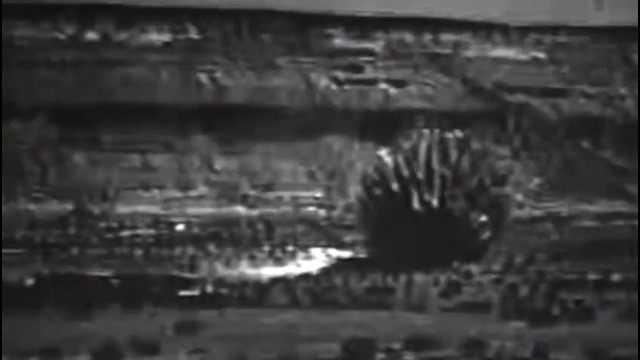 Eyehategod – Anxiety Hangover