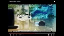 The Future of Smart