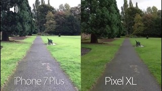 Pixel XL vs iPhone 7 Plus Camera Test Comparison