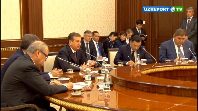 Президент Узбекистана принял главу Американо-Узбекской торговой палаты