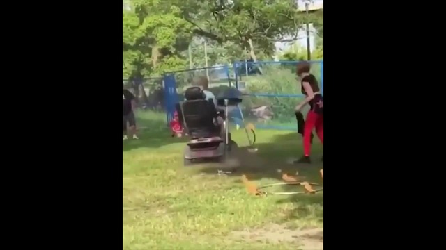 Unusual Memes Compilation V46