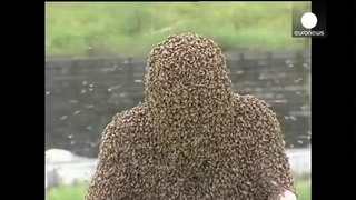 Рекорд Облепленный пчелами китаец просидел час неподвижно