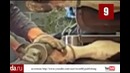 Топ-10 Дурацкие профессии
