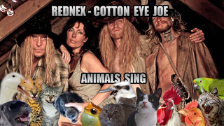 Rednex – Cotton Eye Joe (Animal Cover)