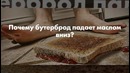 Почему Бутерброд Падает Маслом Вниз