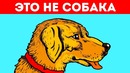 11 Оптических Иллюзий Которые Обманут Ваши Глаза