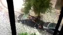 Мужик защищает машину от града
