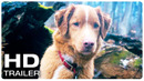 GOOD BOY Official Trailer 2 (NEW 2025)