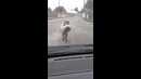 Я иду такая вся в дольче габана