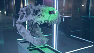 Музей динозавров и других древних животных откроют в Дании