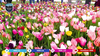 В махалле «Янги Шахар» Шайхантахурского района отметили праздник весны и обновления Навруз