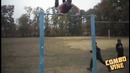 Combo Vine #2