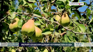 Узбекистан намерен экспортировать сельхозпродукцию на американский рынок